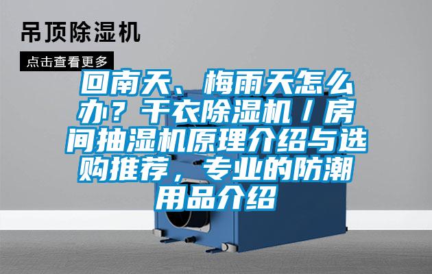 回南天、梅雨天怎么辦？干衣除濕機／房間抽濕機原理介紹與選購?fù)扑]，專業(yè)的防潮用品介紹