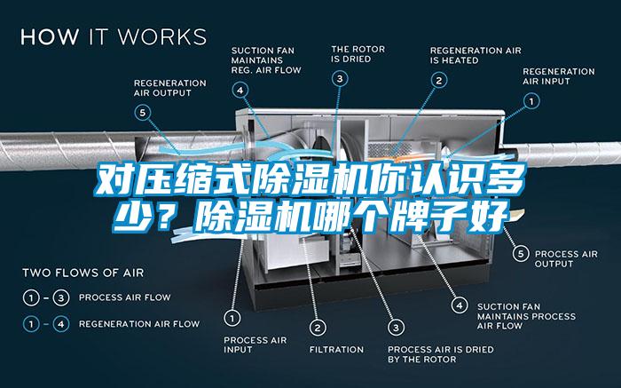 對壓縮式除濕機你認識多少？除濕機哪個牌子好