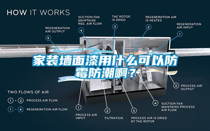 家裝墻面漆用什么可以防霉防潮?。?></div>
								<div   id=