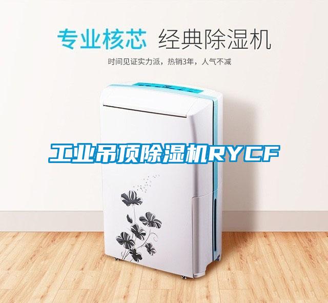 工業(yè)吊頂除濕機RYCF