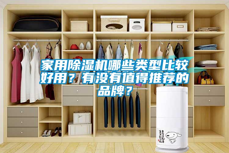 家用除濕機哪些類型比較好用？有沒有值得推薦的品牌？