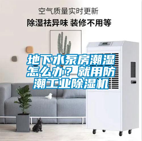 地下水泵房潮濕怎么辦？就用防潮工業(yè)除濕機