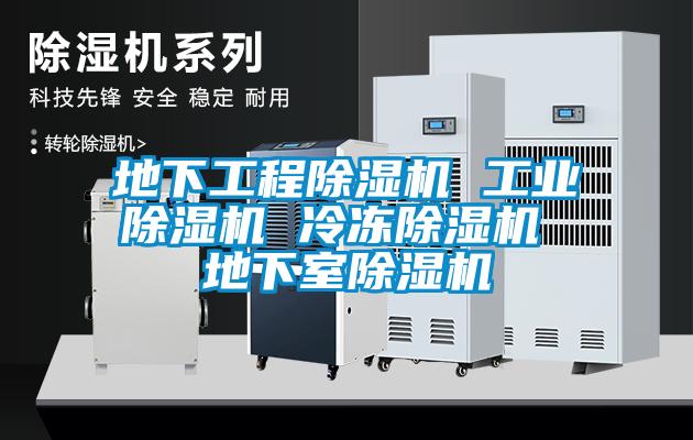 地下工程除濕機 工業(yè)除濕機 冷凍除濕機 地下室除濕機