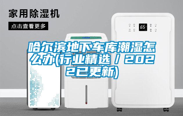 哈爾濱地下車庫潮濕怎么辦(行業(yè)精選／2022已更新)