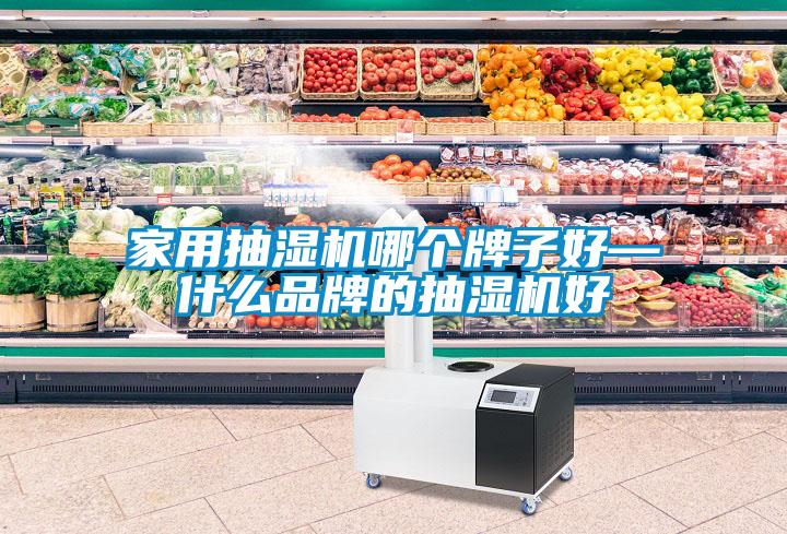 家用抽濕機哪個牌子好—什么品牌的抽濕機好