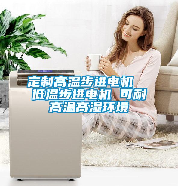 定制高溫步進電機  低溫步進電機 可耐高溫高濕環(huán)境