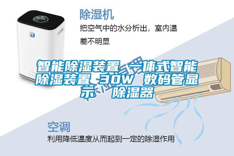 智能除濕裝置 一體式智能除濕裝置 30W 數(shù)碼管顯示  除濕器