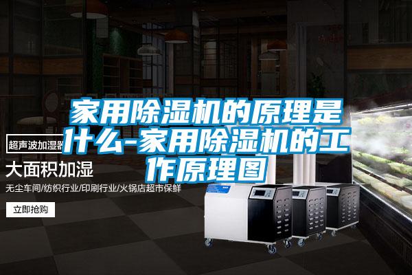 家用除濕機的原理是什么-家用除濕機的工作原理圖