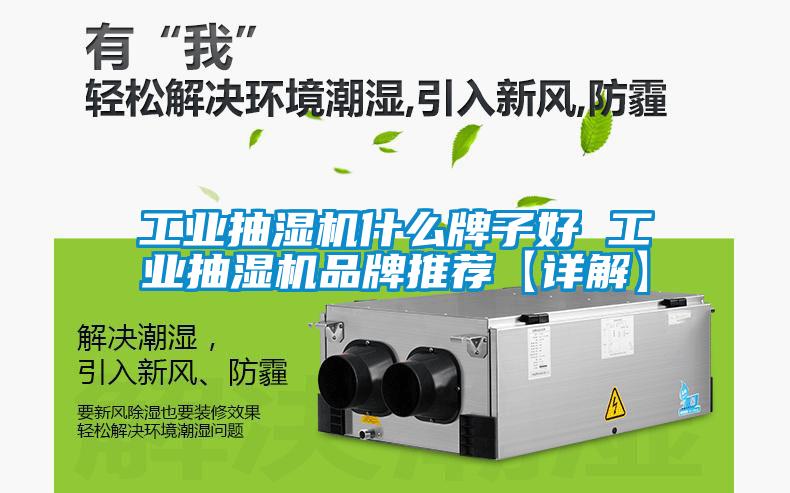 工業(yè)抽濕機什么牌子好 工業(yè)抽濕機品牌推薦【詳解】