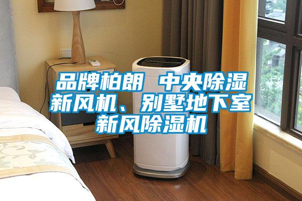 品牌柏朗 中央除濕新風(fēng)機、別墅地下室新風(fēng)除濕機