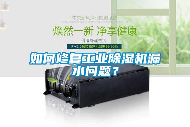 如何修復工業(yè)除濕機漏水問題？