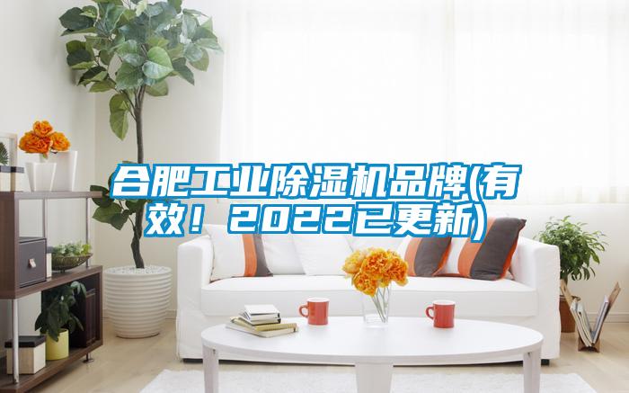 合肥工業(yè)除濕機品牌(有效！2022已更新)