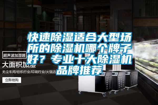 快速除濕適合大型場所的除濕機哪個牌子好？專業(yè)十大除濕機品牌推薦