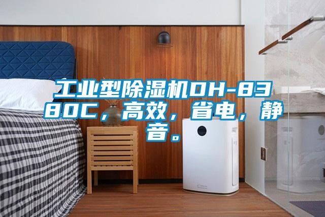 工業(yè)型除濕機DH-8380C，高效，省電，靜音。