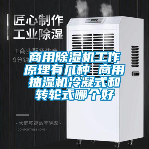 商用除濕機(jī)工作原理有幾種 商用抽濕機(jī)冷凝式和轉(zhuǎn)輪式哪個(gè)好