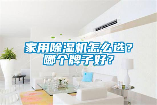 家用除濕機(jī)怎么選？哪個(gè)牌子好？