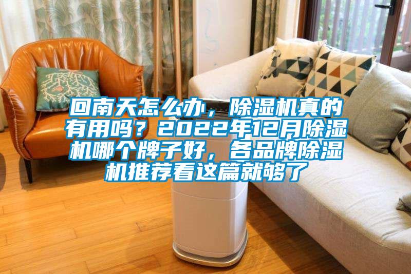 回南天怎么辦，除濕機真的有用嗎？2022年12月除濕機哪個牌子好，各品牌除濕機推薦看這篇就夠了