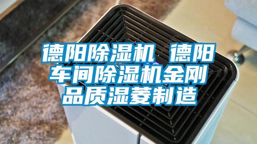 德陽除濕機 德陽車間除濕機金剛品質濕菱制造