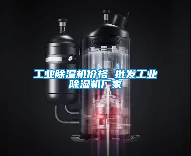 工業(yè)除濕機(jī)價格 批發(fā)工業(yè)除濕機(jī)廠家