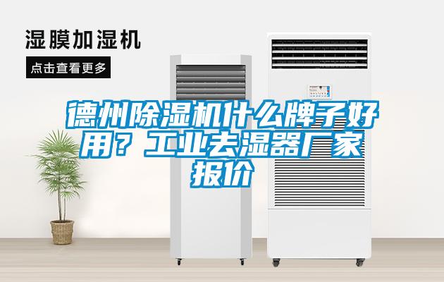 德州除濕機什么牌子好用？工業(yè)去濕器廠家報價