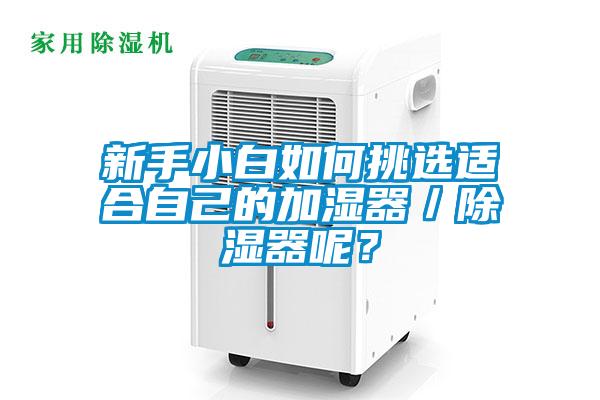 新手小白如何挑選適合自己的加濕器／除濕器呢？