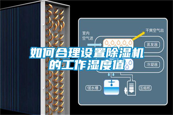 如何合理設置除濕機的工作濕度值