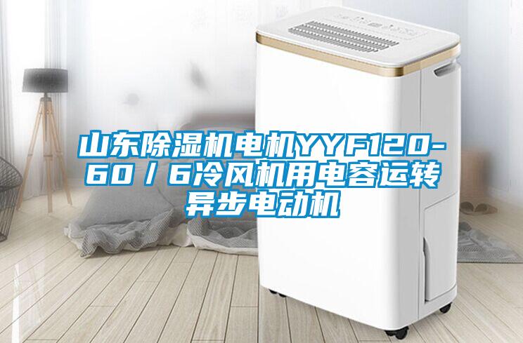 山東除濕機電機YYF120-60／6冷風機用電容運轉(zhuǎn)異步電動機