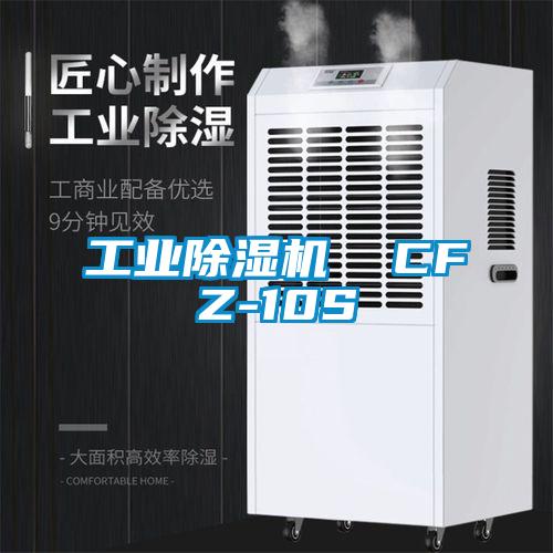 工業(yè)除濕機(jī)  CFZ-10S