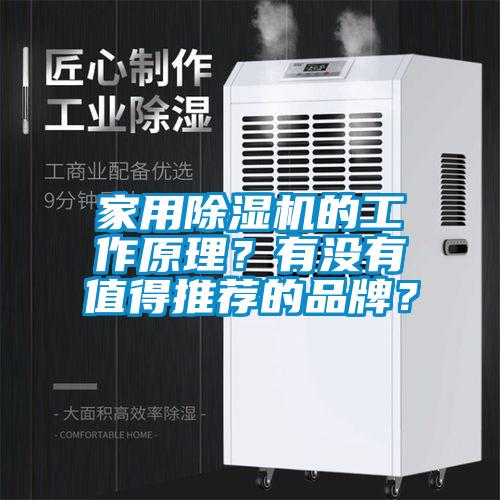 家用除濕機的工作原理？有沒有值得推薦的品牌？