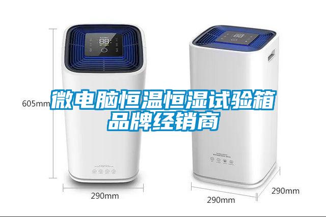 微電腦恒溫恒濕試驗箱品牌經(jīng)銷商