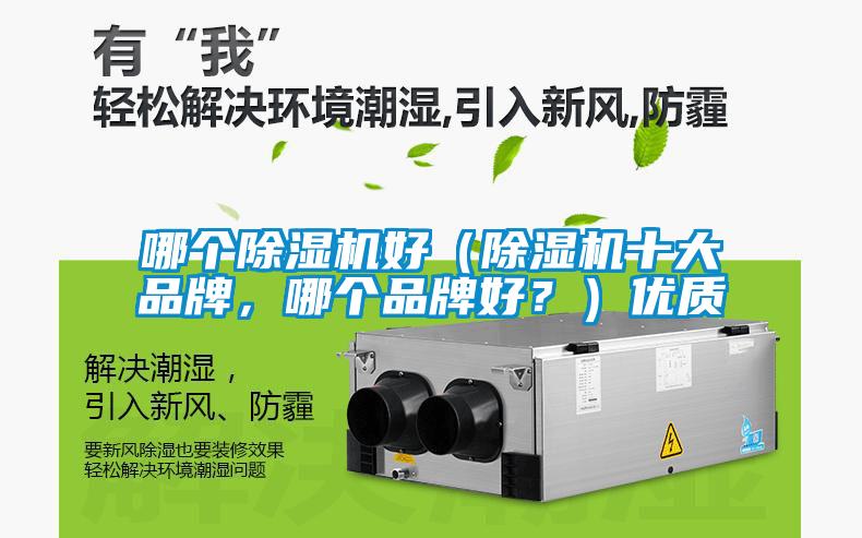 哪個除濕機好（除濕機十大品牌，哪個品牌好？）優(yōu)質(zhì)