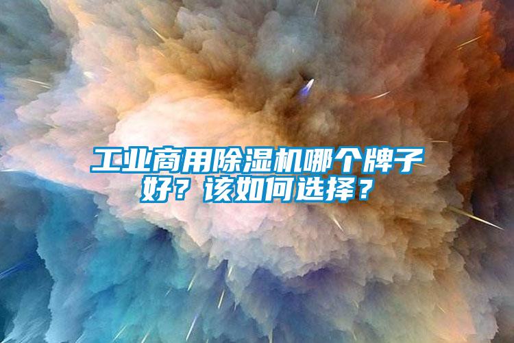 工業(yè)商用除濕機哪個牌子好？該如何選擇？