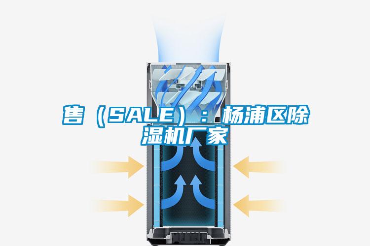 售（SALE）：楊浦區(qū)除濕機廠家