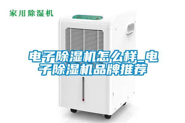 電子除濕機怎么樣_電子除濕機品牌推薦