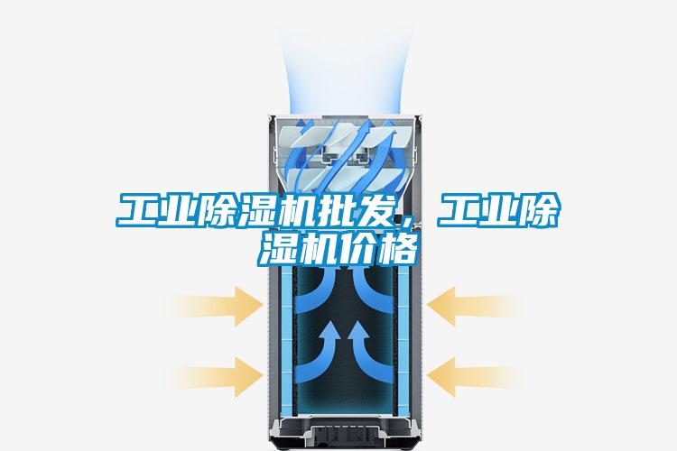 工業(yè)除濕機(jī)批發(fā)，工業(yè)除濕機(jī)價(jià)格