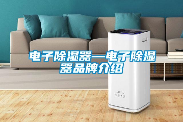 電子除濕器—電子除濕器品牌介紹