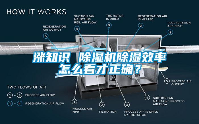 漲知識 除濕機除濕效率怎么看才正確？