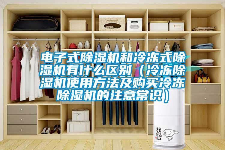 電子式除濕機和冷凍式除濕機有什么區(qū)別（冷凍除濕機使用方法及購買冷凍除濕機的注意常識）