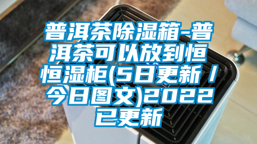 普洱茶除濕箱-普洱茶可以放到恒恒濕柜(5日更新／今日圖文)2022已更新