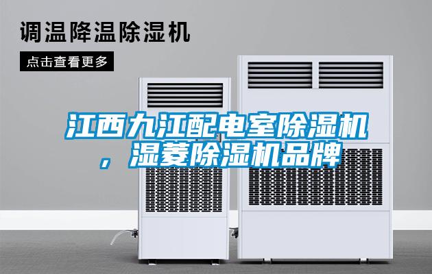 江西九江配電室除濕機，濕菱除濕機品牌