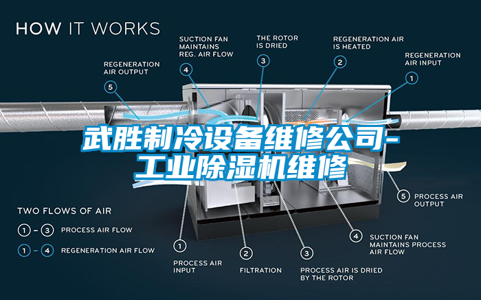 武勝制冷設(shè)備維修公司-工業(yè)除濕機(jī)維修