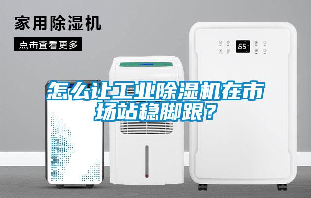 怎么讓工業(yè)除濕機在市場站穩(wěn)腳跟？