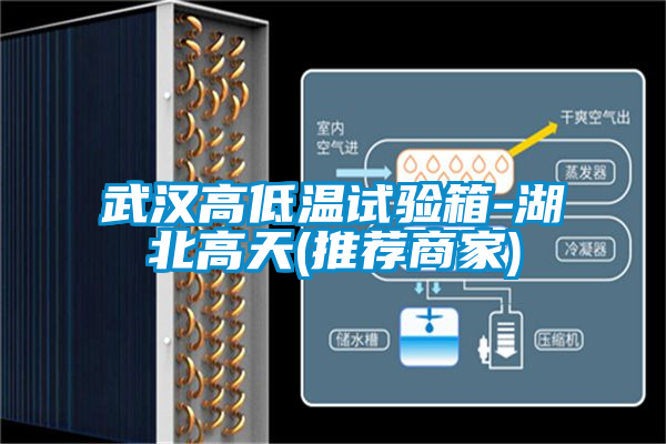 武漢高低溫試驗(yàn)箱-湖北高天(推薦商家)