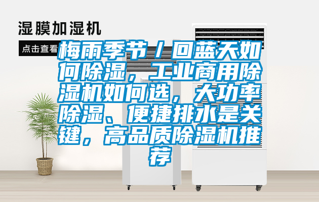 梅雨季節(jié)／回藍(lán)天如何除濕，工業(yè)商用除濕機(jī)如何選，大功率除濕、便捷排水是關(guān)鍵，高品質(zhì)除濕機(jī)推薦