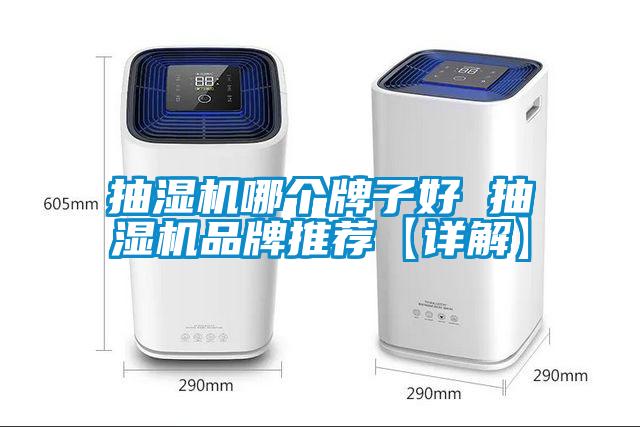 抽濕機哪個牌子好 抽濕機品牌推薦【詳解】