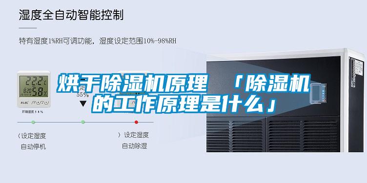 烘干除濕機(jī)原理 「除濕機(jī)的工作原理是什么」