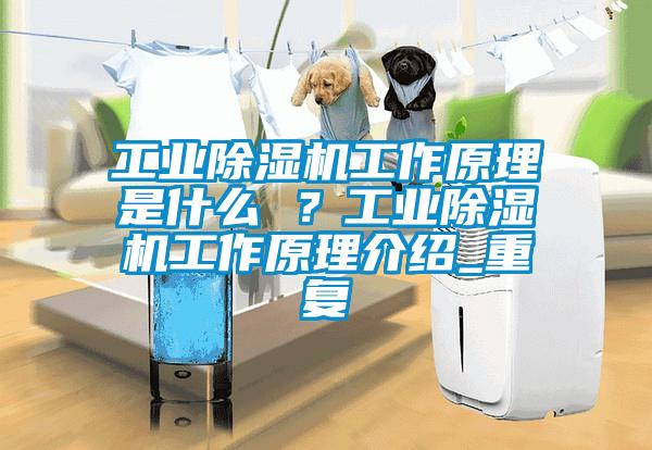 工業(yè)除濕機工作原理是什么 ？工業(yè)除濕機工作原理介紹_重復