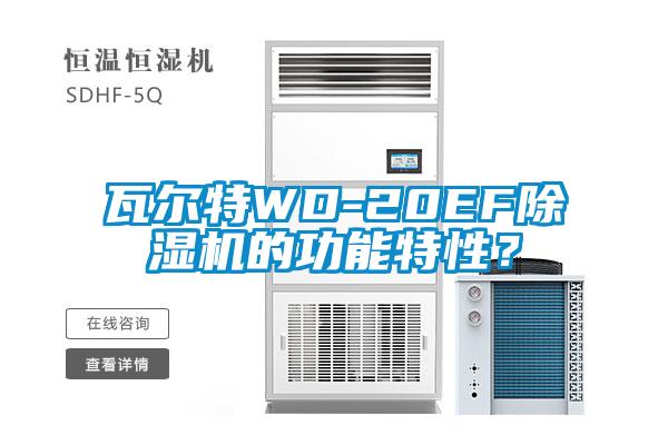 瓦爾特WD-20EF除濕機(jī)的功能特性？