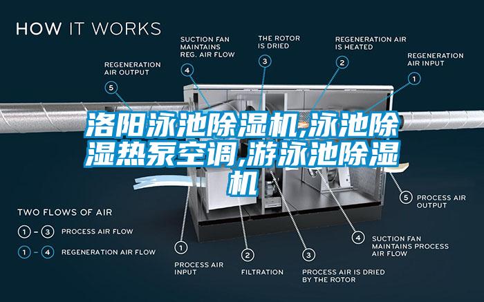 洛陽泳池除濕機,泳池除濕熱泵空調(diào),游泳池除濕機