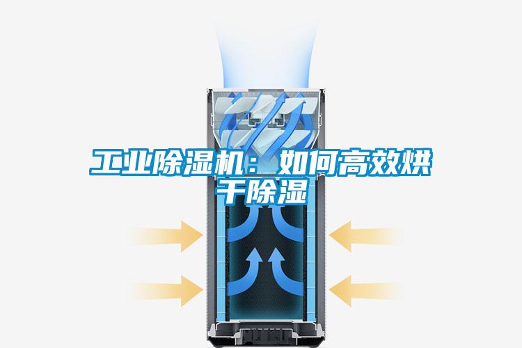 工業(yè)除濕機(jī)：如何高效烘干除濕